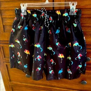 Colorful Flamingo Print Swim Shorts